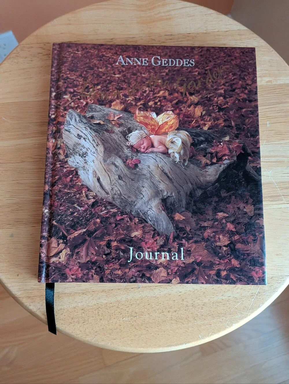 Anne Geddes Down in the Garden Fall Leaves Journal - Brown Cover